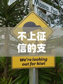不上征信的支付宝能贷款吗？实测三个隐藏方法