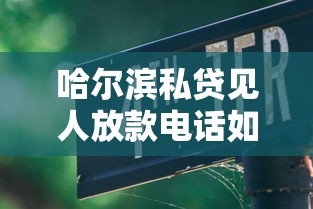 哈尔滨私贷见人放款电话如何申请？这几个细节要注意！