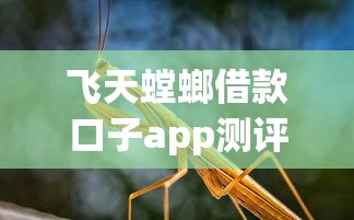 飞天螳螂借款口子app测评：这平台到底靠谱吗？真实体验分享
