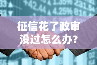 征信花了政审没过怎么办？过来人分享补救妙招