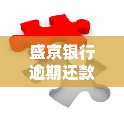 盛京银行逾期还款的解决方案最新：三步化解债务难题