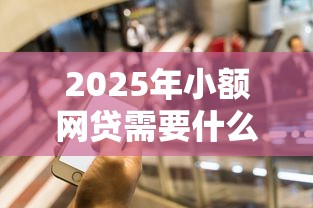 2025年小额网贷需要什么条件？罗列5个都贷款平台