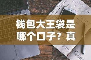 钱包大王袋是哪个口子？真实评测+避坑指南看这篇