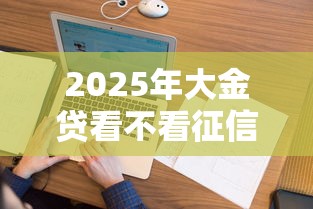 2025年大金贷看不看征信：看看这五个征信花了能网贷的平台