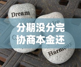 分期没分完协商本金还款，怎么谈才能减压力？过来人经验分享