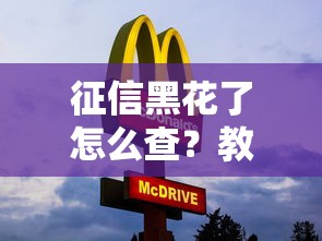 征信黑花了怎么查？教你3步在线查清信用状态