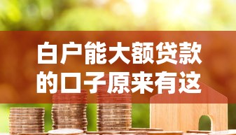 白户能大额贷款的口子原来有这些选择