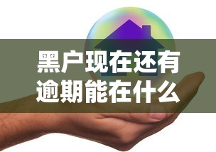 黑户现在还有逾期能在什么平台借钱？真实情况分析