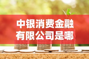 中银消费金融有限公司是哪个网贷？正规贷款平台这样选才放心