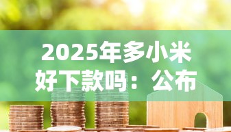 2025年多小米好下款吗：公布5个不看征信的贷款口子