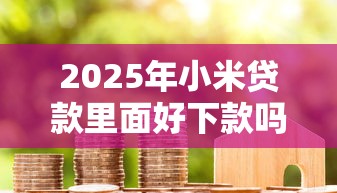 2025年小米贷款里面好下款吗，试试这五个不看征信查询的口子