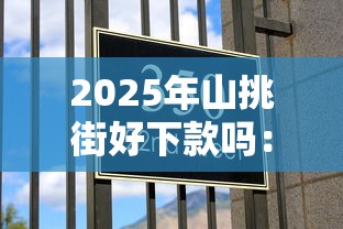 2025年山挑街好下款吗：公布五个贷款加盟平台
