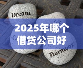 2025年哪个借贷公司好下款，分享五个黑户借钱的平台100%能借