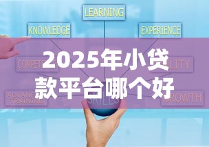 2025年小贷款平台哪个好下款的：梳理五个网贷最好下款的平台
