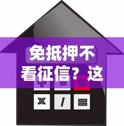 免抵押不看征信？这几种贷款方式快速到账！