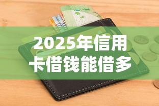 2025年信用卡借钱能借多少，罗列五个低门槛不查征信的平台