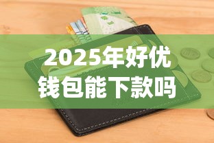 2025年好优钱包能下款吗知乎？看看这5个不上征信报告的贷款app
