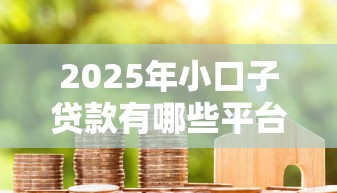 2025年小口子贷款有哪些平台，分享五个不看征信的借款平台百分百通过
