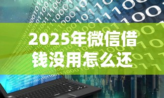 2025年微信借钱没用怎么还钱呢：看看这5个2025大花户放水秒下款的口子