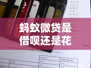 蚂蚁微贷是借呗还是花呗？一图看懂区别和用法