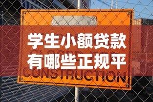 学生小额贷款有哪些正规平台？这5家安全靠谱值得选