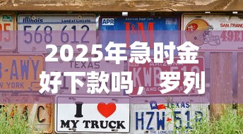 2025年急时金好下款吗，罗列5个征信花居然都下款的口子