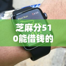 芝麻分510能借钱的平台有哪些？实测这几个门槛低、到账快