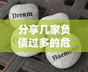 分享几家负债过多的危害｜这些坑千万别踩！