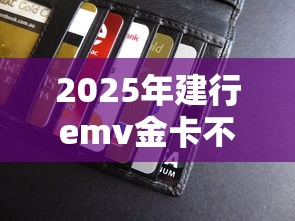 2025年建行emv金卡不通过？整合五个好的贷款平台