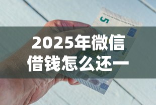 2025年微信借钱怎么还一部分钱，整合5个网贷平台投诉