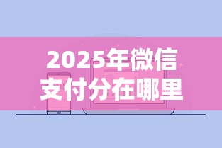 2025年微信支付分在哪里看几号更新，整理五个无视黑白户秒下款口子平台