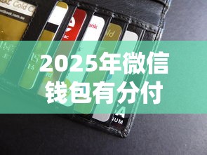 2025年微信钱包有分付怎么借钱？看看这5个360贷款是平台的