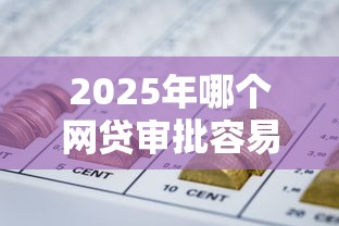 2025年哪个网贷审批容易点？梳理5个信用花了平台能借到钱