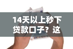 14天以上秒下贷款口子？这几点一定要懂！