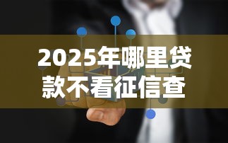 2025年哪里贷款不看征信查询的：试试这五个2025必下款的口子