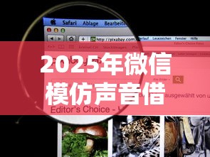2025年微信模仿声音借钱：看看这五个黑户贷款马上下款的口子