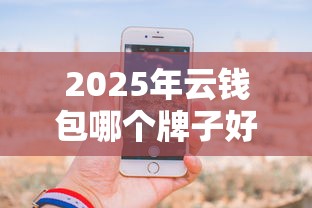 2025年云钱包哪个牌子好下款快：分享5个每个人扣多少？