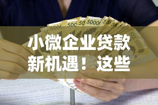 小微企业贷款新机遇！这些方案让资金周转更轻松