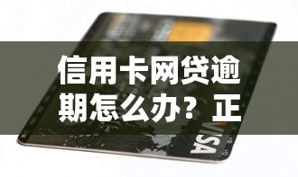 信用卡网贷逾期怎么办？正确处理步骤与避坑指南