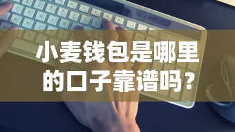 小麦钱包是哪里的口子靠谱吗？5个正规平台横向对比