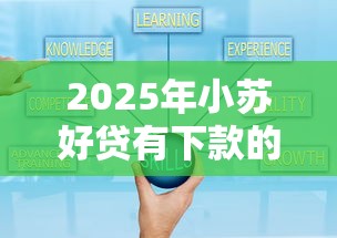 2025年小苏好贷有下款的吗，看看这5个秒批通过的网贷平台