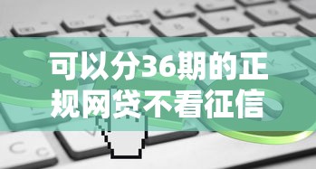 可以分36期的正规网贷不看征信？这5个平台审核快、门槛低