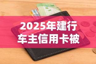 2025年建行车主信用卡被拒？推荐五个不看征信能下款的平台