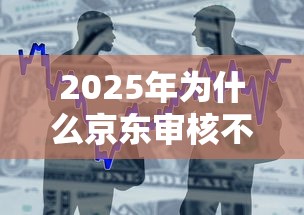2025年为什么京东审核不通过，整合五个黑户借1000借款平台能放款