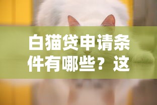 白猫贷申请条件有哪些？这些细节必须提前了解