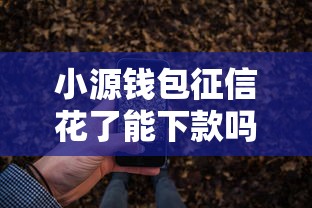2025年借钱不看年龄不看征信：罗列五个网贷最好下款的平台不看征信