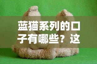 蓝猫系列的口子有哪些？这5个正规平台安全又靠谱