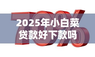 2025年小白菜贷款好下款吗：推荐五个和招联金融一样的贷款平台