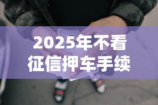 2025年不看征信押车手续贷款：试试这5个容易借贷的网贷平台