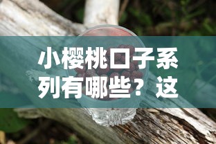 小樱桃口子系列有哪些？这几个平台靠谱又省心！